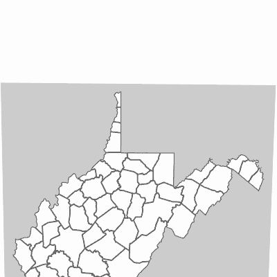 Export Image